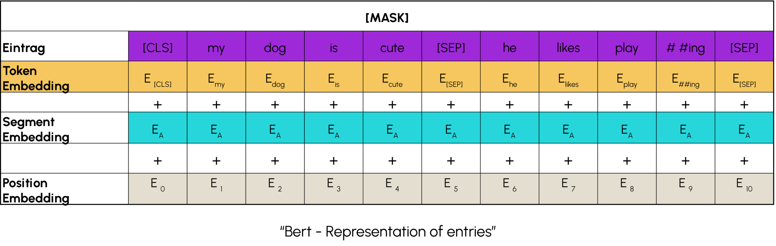 bert: representation of entries