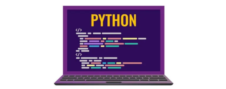 ^python