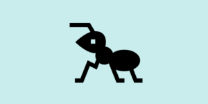 apache ant