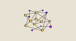 Dense Neural Networks: Understanding Their Structure and Function