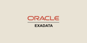 Exadata: What is this Oracle DBMS solution?