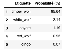 prediction algorithme