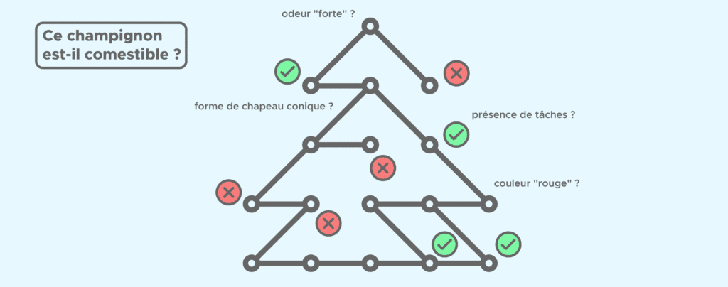 random forest