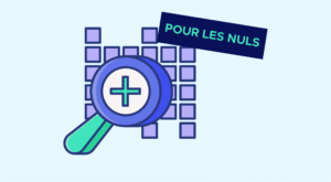 Le Big Data pour les nuls