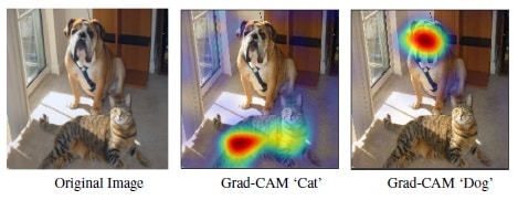 Résultat de la méthode Grad-CAM