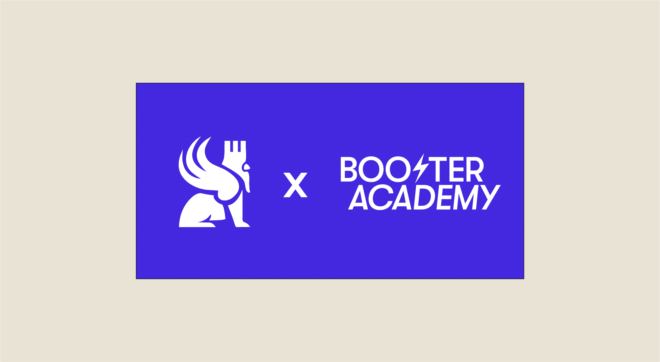 booster academy