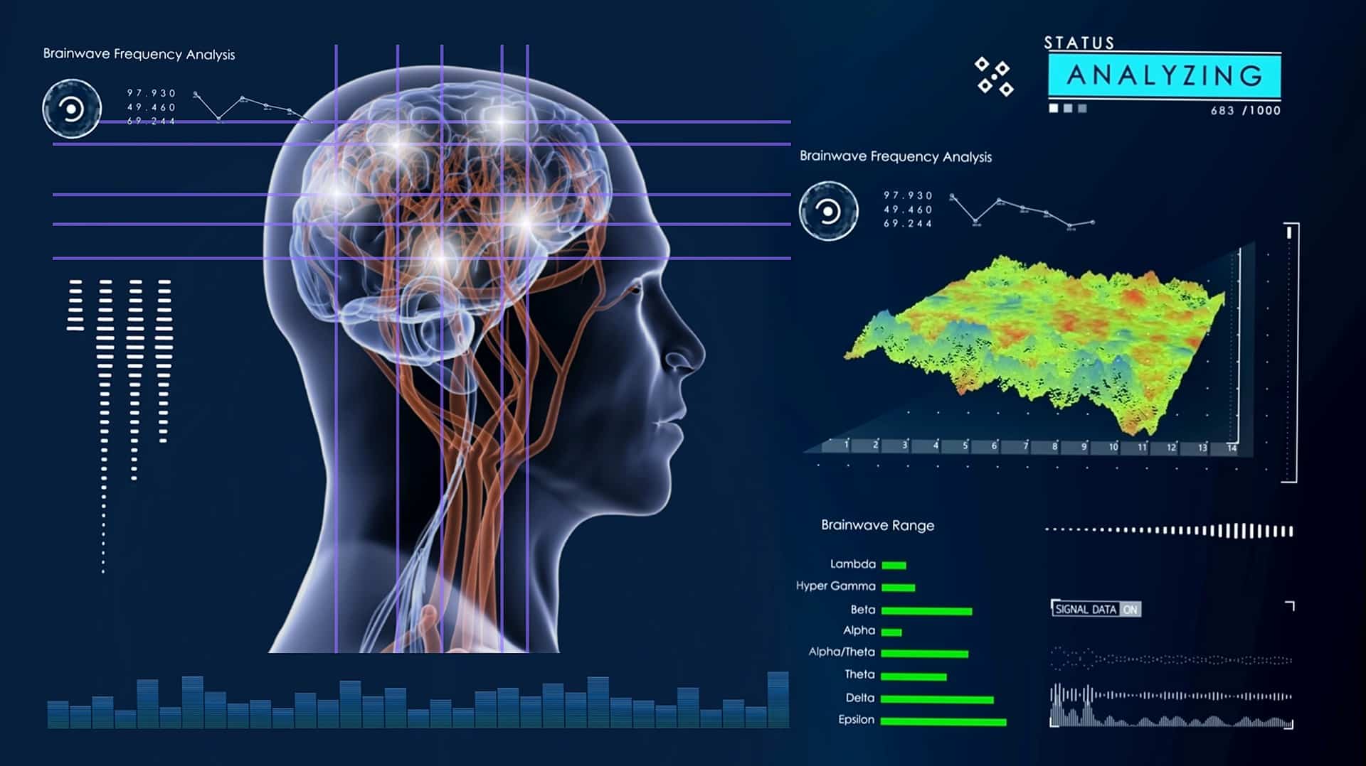 Interface analyse cerveau humain